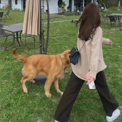 恐怖连结